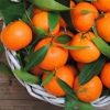 Orange Mandarine 10ml
